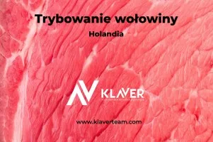 Trybowanie wołowiny- praca w Holandii od zaraz
