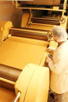 Praca w Holandii - Proste prace produkcyjne Praca w Holandii - Proste prace produkcyjne