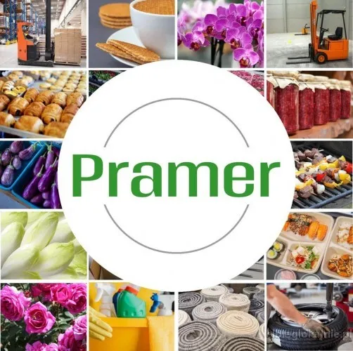 Pracownik produkcji jajek - bez języka - praca w Holandii