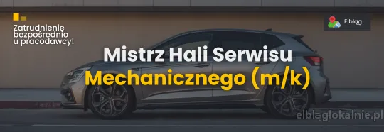 Mechanik - Mistrz Serwisu (k/m)
