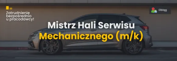 Mechanik - Mistrz Serwisu (k/m)
